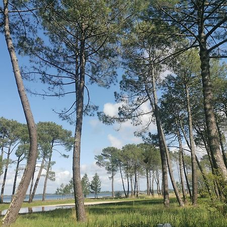 Appartements Au Coeur Du Golf, Proche Du Lac Et Velodyssee 비스카로세 외부 사진