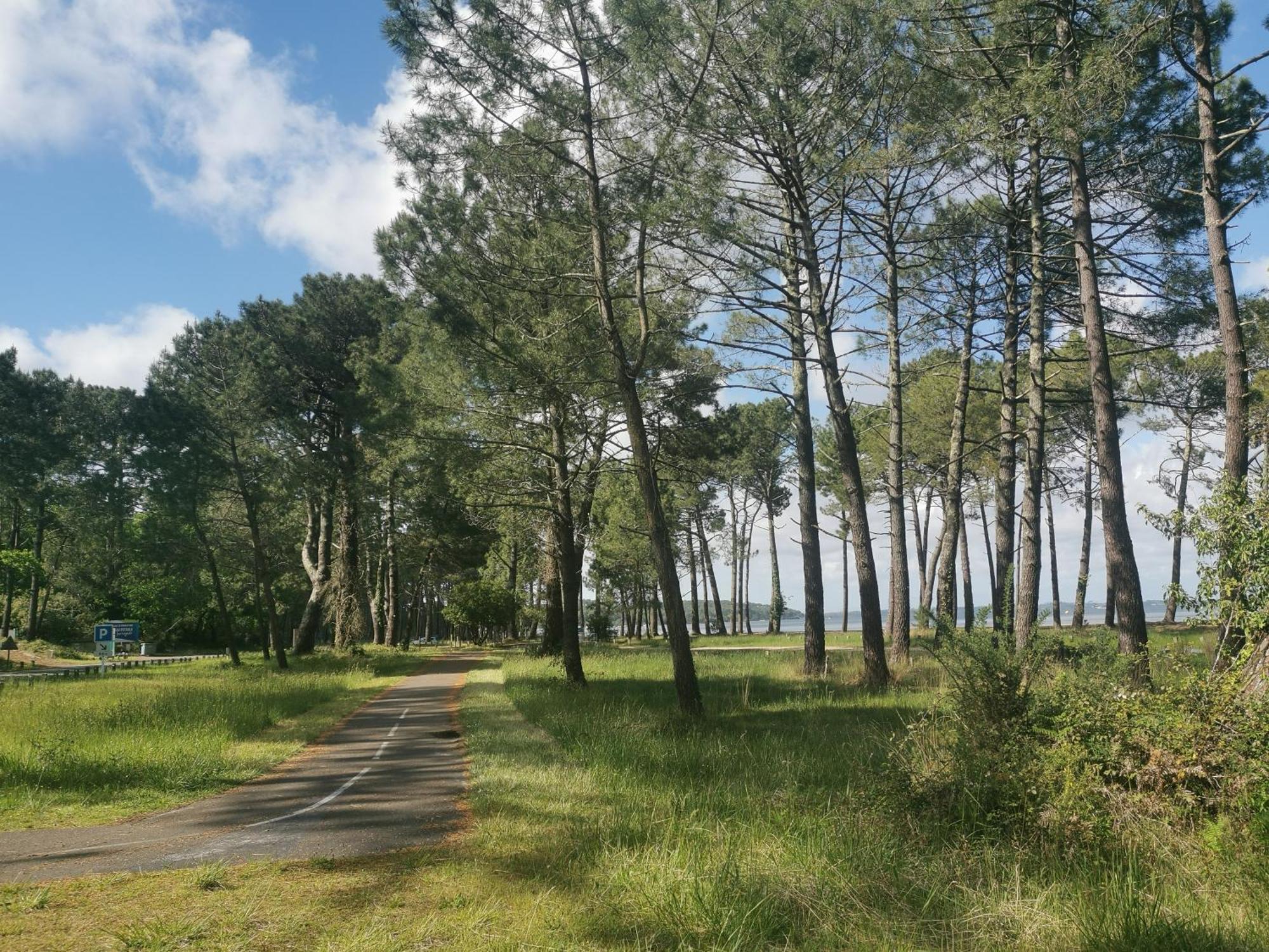 Appartements Au Coeur Du Golf, Proche Du Lac Et Velodyssee 비스카로세 외부 사진
