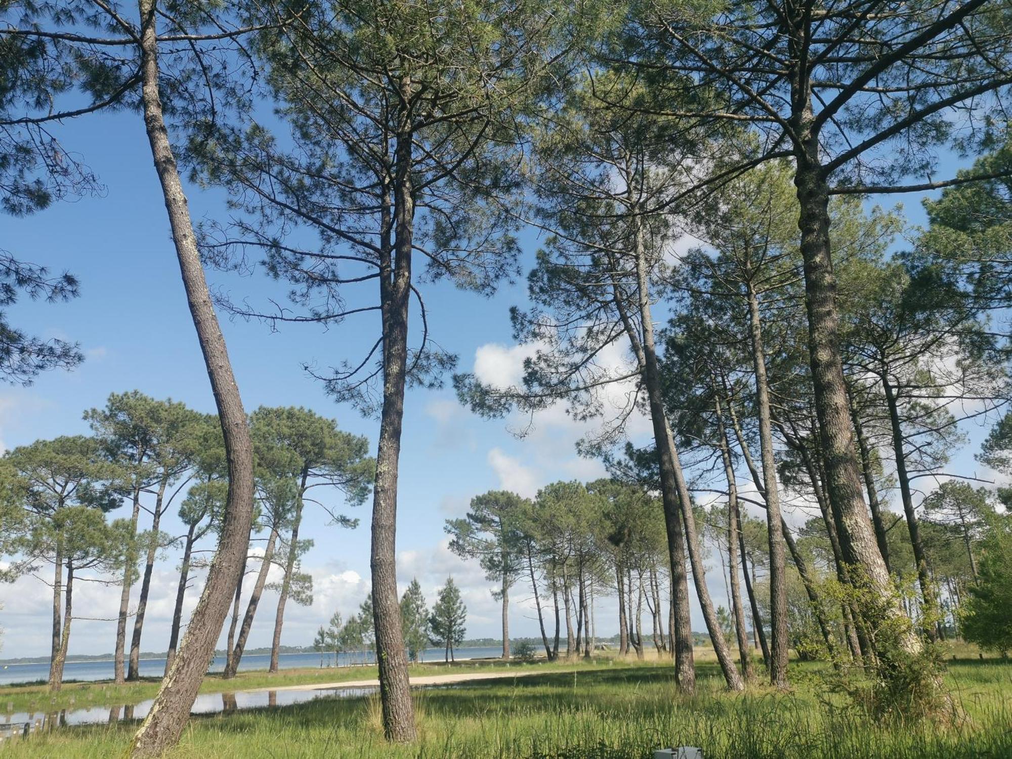 Appartements Au Coeur Du Golf, Proche Du Lac Et Velodyssee 비스카로세 외부 사진